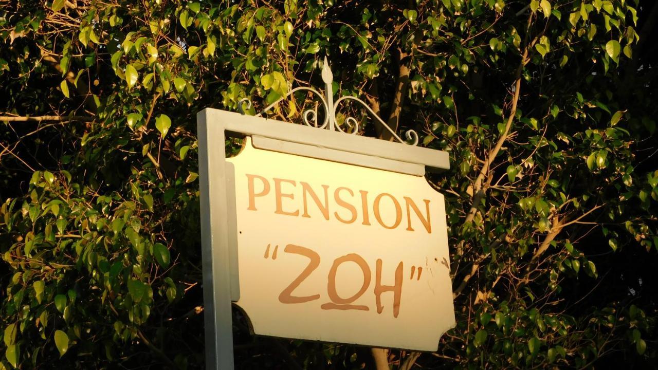 ארמיוני Zoe Pension מראה חיצוני תמונה